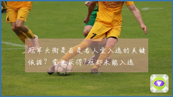 冠军头衔是否是名人堂入选的关键依据？霍里获得7冠却未能入选