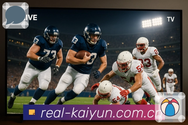 数据展示优化认证